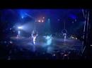 Cirque Du Soleil -- QUIDAM -- Aerial Hoops Act